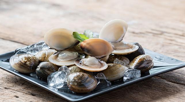 Mengonsumsi Kerang Bisa Keracunan ? Cara Amannya Gimana ?