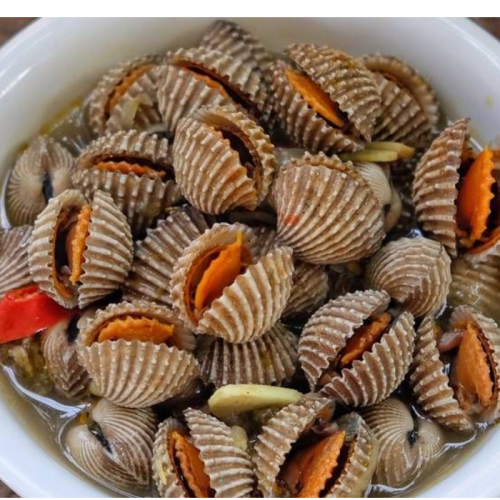 Mengapa Kerang Dara Bisa Berbahaya Dikonsumsi? Waspadai Risikonya!