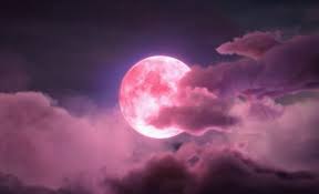 Strawberry Moon: Keajaiban Langit Bulan Juni yang Sayang untuk Dilewatkan