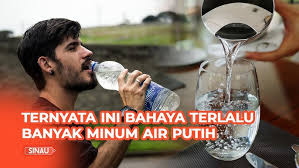 Gunung Lewotobi Laki‑Laki Meletus, Warga panik kondisi kedepannya.