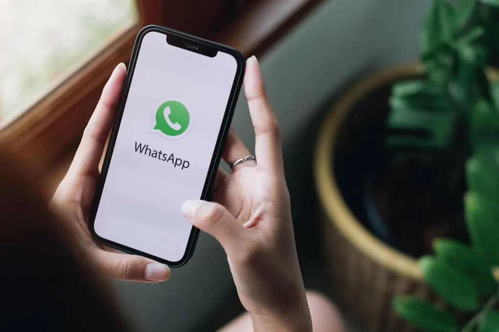 Maksimalkan Konversi: Manfaat Follow Up Intens ke Leads Warm dengan WhatsApp Blasting