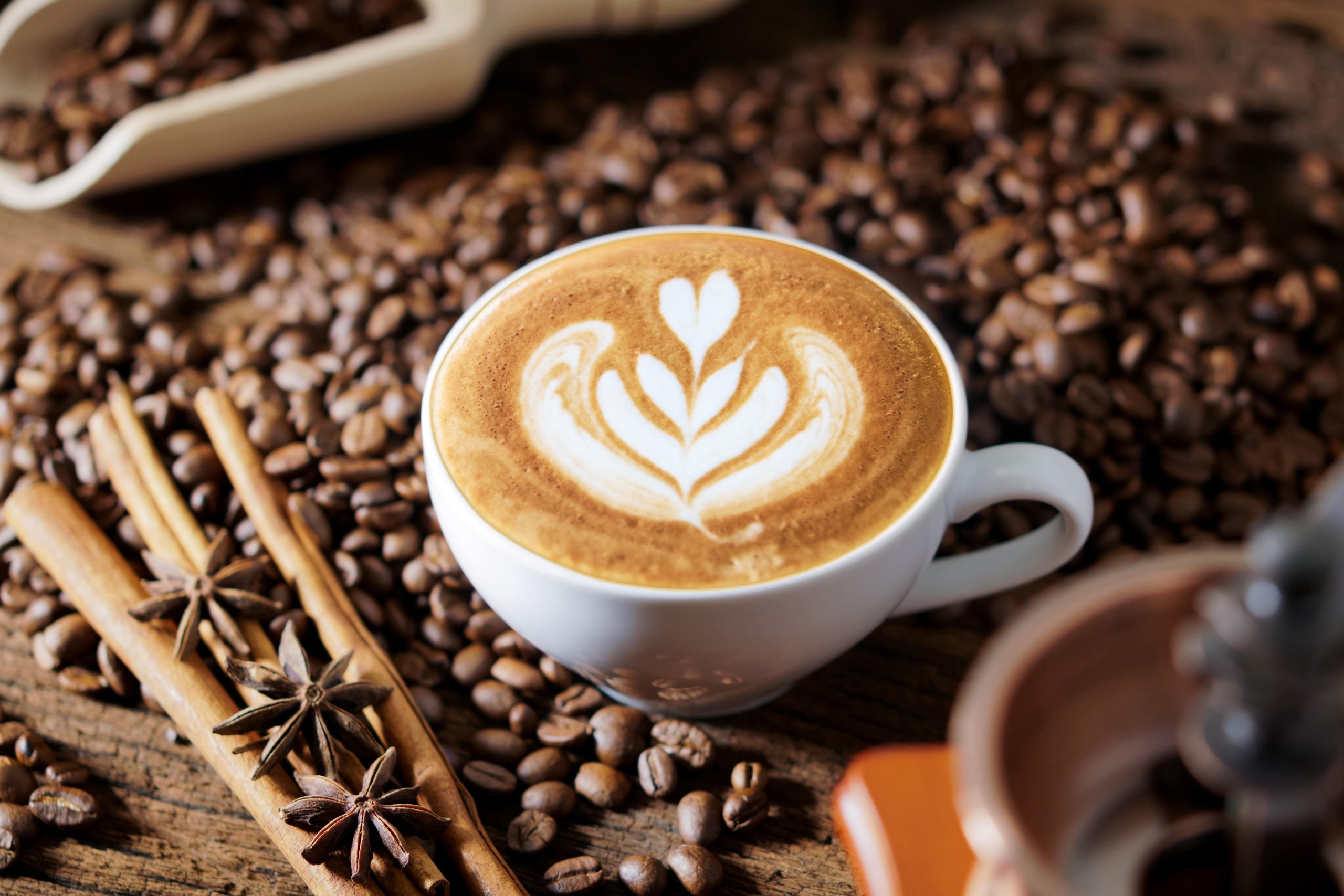 Kopi Robusta yang Cocok Dibuat Kopi Susu Kekinian