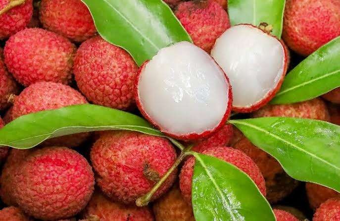 Buah Leci: Si Kecil Manis dengan Segudang Khasiat