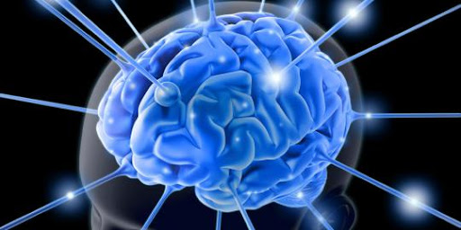 Ciri-Ciri Orang dengan IQ Tinggi yang Sering Tidak Disadari