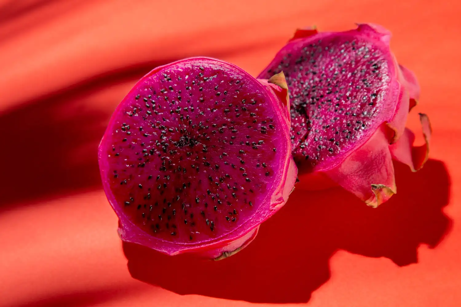 Manfaat Buah Naga Merah untuk Kesehatan dan Daya Tahan Tubuh