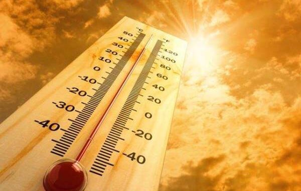 BMKG Imbau Masyarakat Hindari Terik Matahari Langsung Pukul 10.00–16.00 WIB