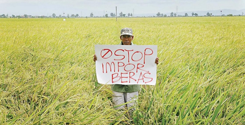 Indonesia Berhenti Impor Beras di 2025: Benarkah? Ini Penjelasan Lengkapnya