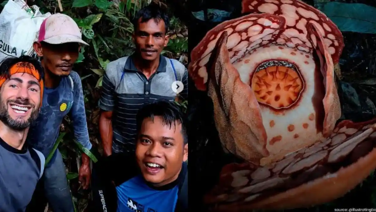 Sosok 3 Peneliti Indonesia di Balik Penemuan Rafflesia *Hasseltii* yang Tak Disebut Oxford