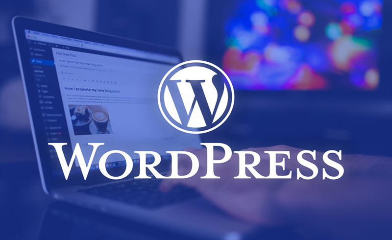 Website Builder Tanpa Coding Selain WordPress: Solusi Praktis untuk Pemula