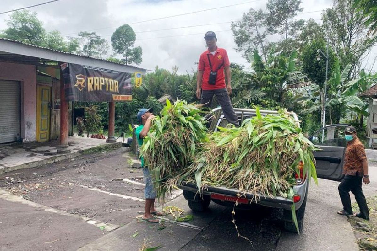 Bantuan 5,2 Ton untuk Korban di Sumatera, Termasuk Pakan Hewan